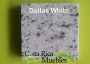 Dallas White7